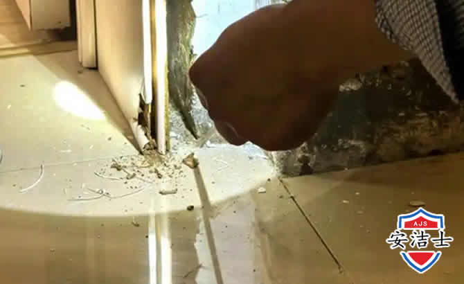 黄浦区房屋建筑防治白蚁