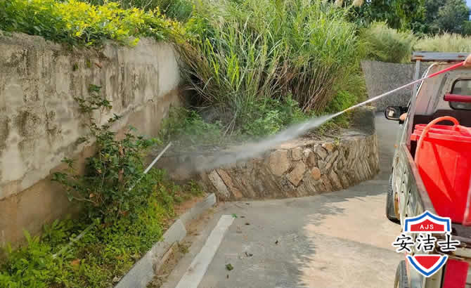 黄浦区道路堤坝白蚁防治