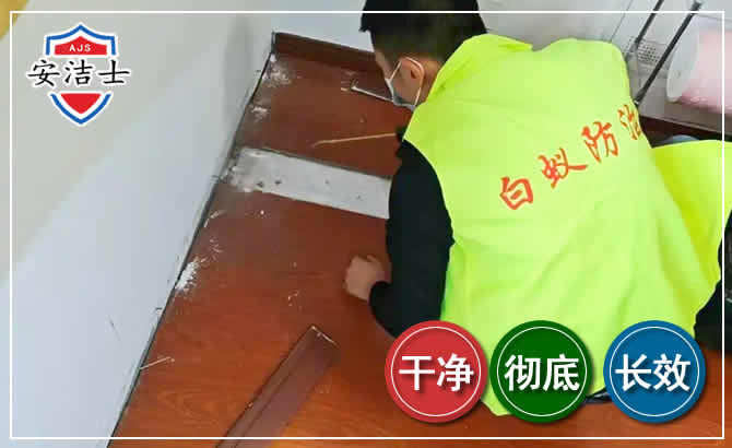 黄浦区除四害现场