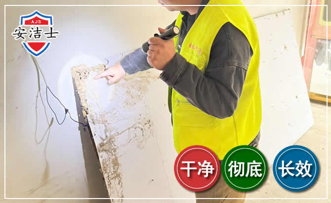 黄浦区除白蚁现场